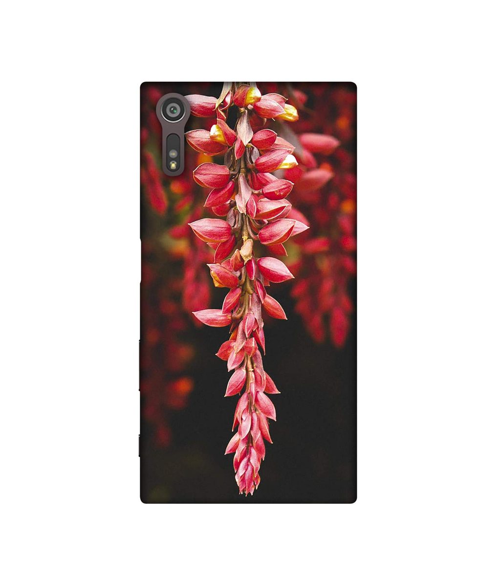 Amazon Brand - Solimo Designer Flowers Photograpy 3D Printed Hard Back Case Mobile Cover for Sony Xperia XZ Dual