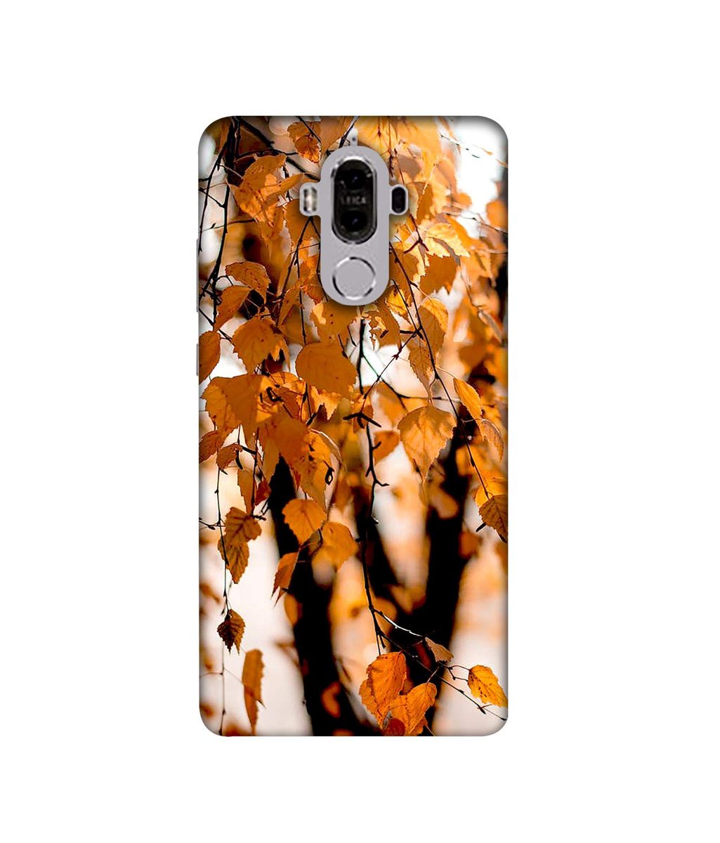 Amazon Brand - Solimo Designer Autumn Photography 3D Printed Hard Back Case Mobile Cover for Huawei Mate 9