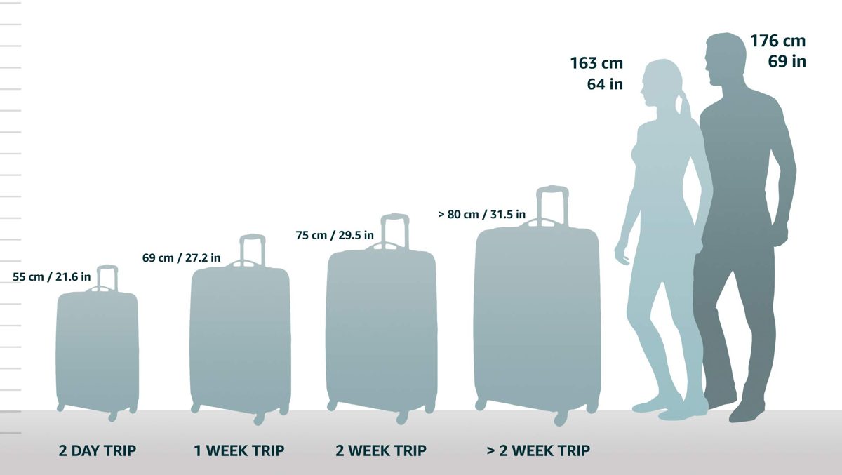 AmazonBasics Hardside Luggage Spinner - 68cm, Navy Blue