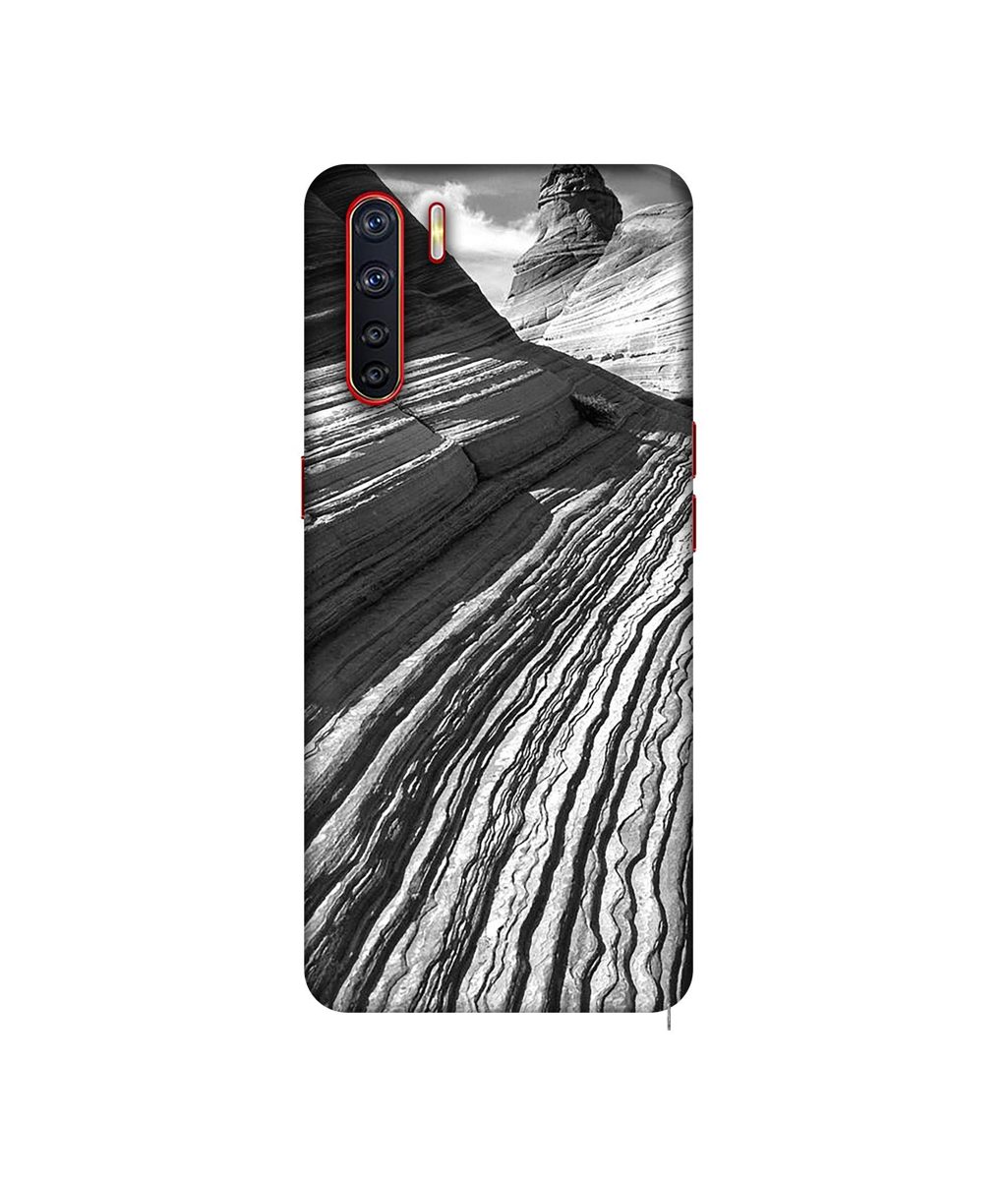 Amazon Brand - Solimo Designer Nature 3D Printed Hard Back Case Mobile Cover for Oppo A91