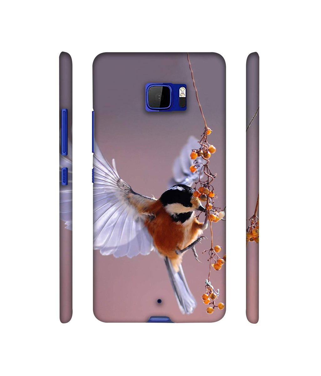 Amazon Brand - Solimo Designer Bird 3D Printed Hard Back Case Mobile Cover for HTC U Ultra