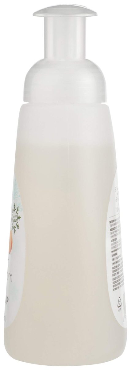 365 Everyday Value, Foamy Hand Soap, Pumpkin Cardamom, 12.5 Fl Oz