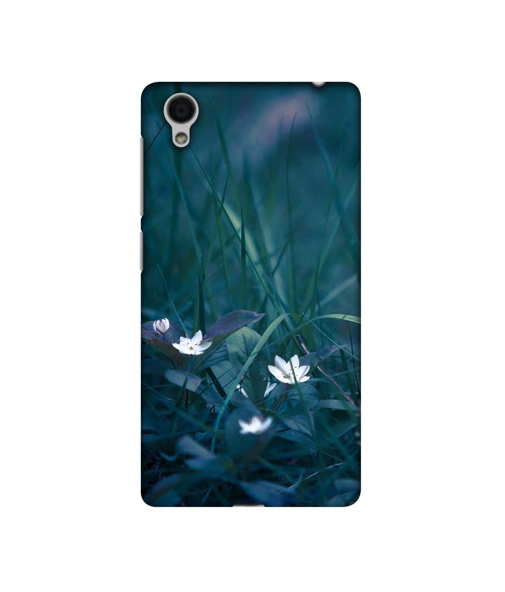Amazon Brand - Solimo Designer White Flower 3D Printed Hard Back Case Mobile Cover for Vivo Y51L