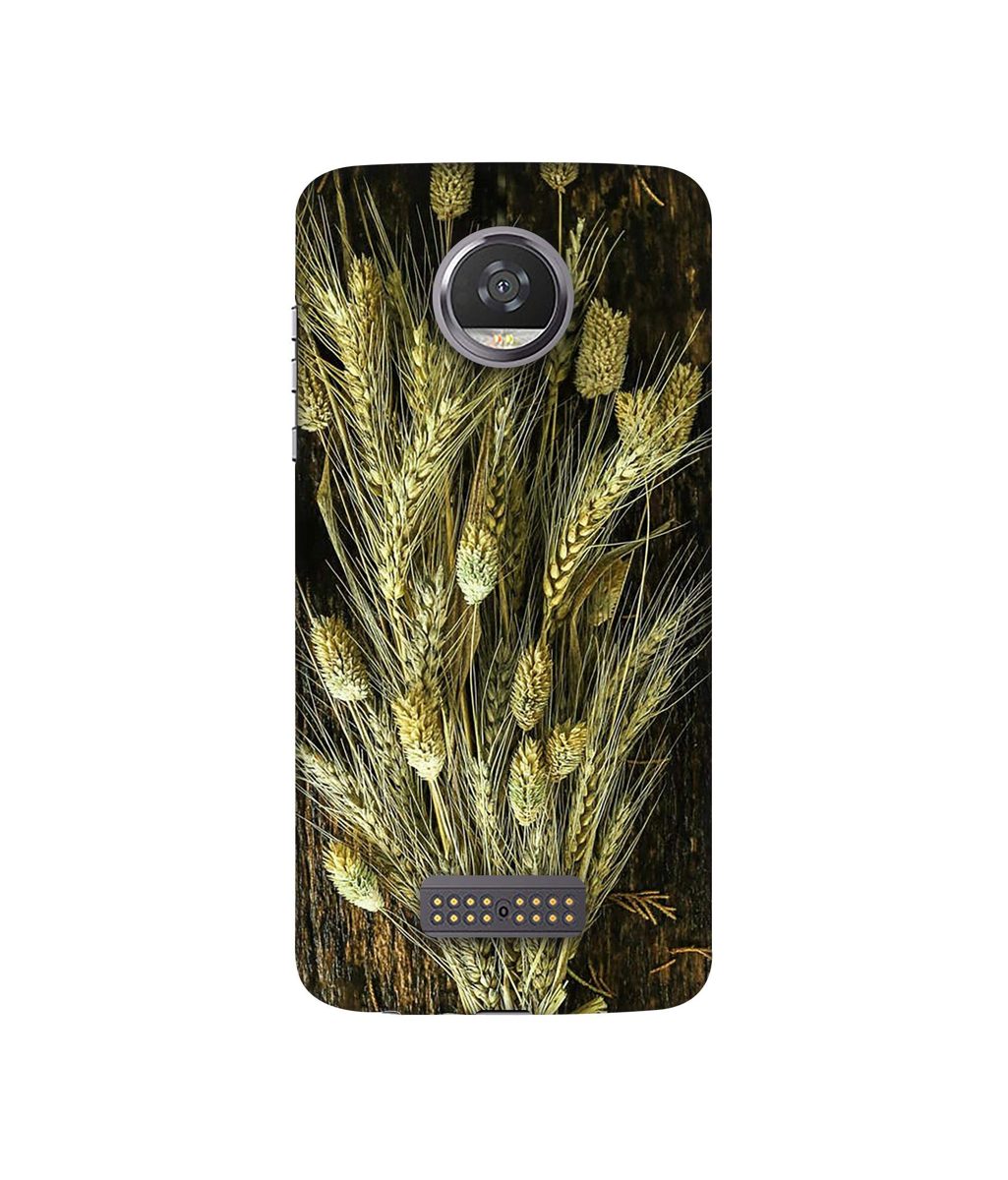 Amazon Brand - Solimo Designer Wheat Plants 3D Printed Hard Back Case Mobile Cover for Moto Z2 Play