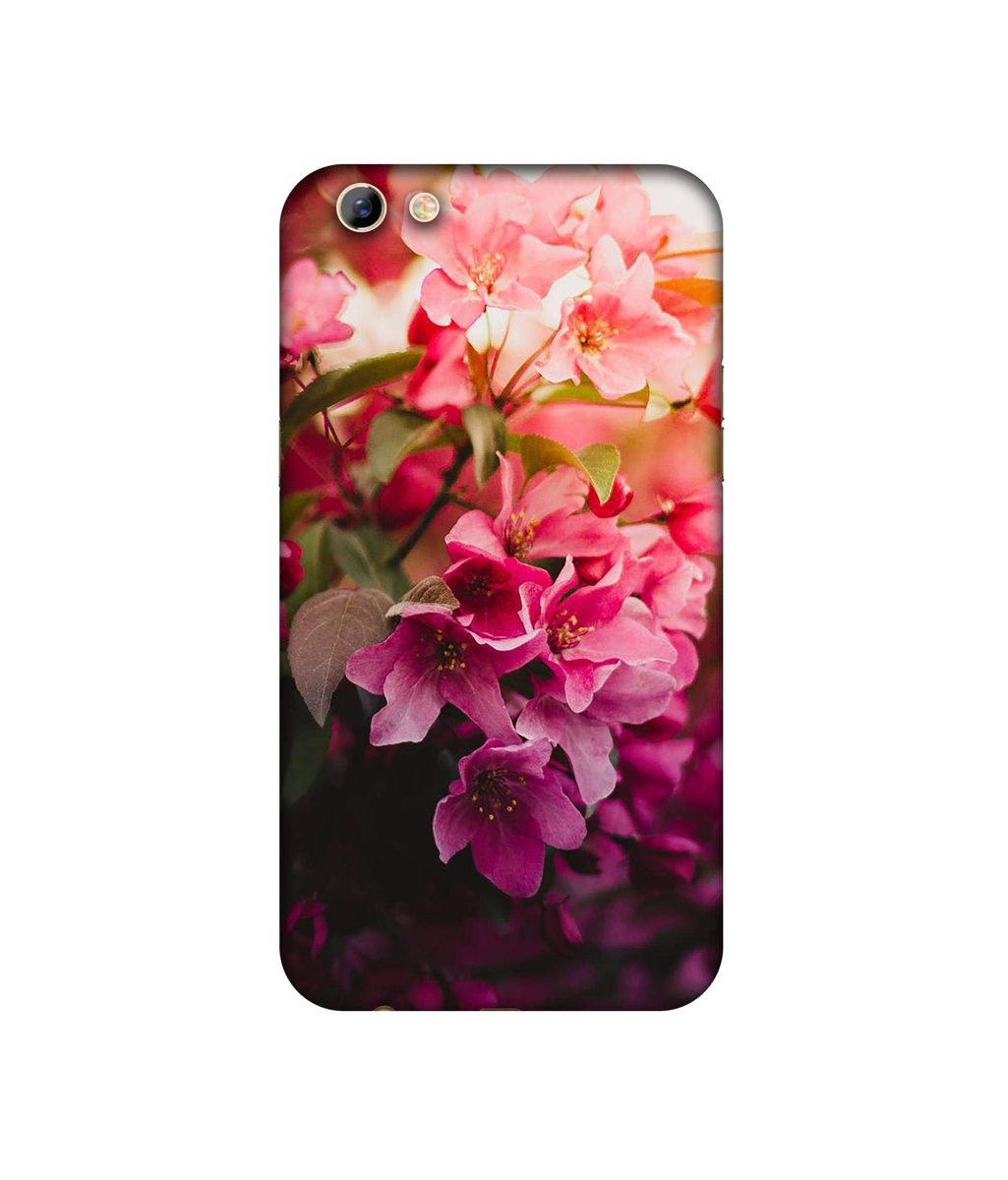 Amazon Brand - Solimo Designer Blossom Weather UV Printed Soft Back Case Mobile Cover for Oppo F3 Plus
