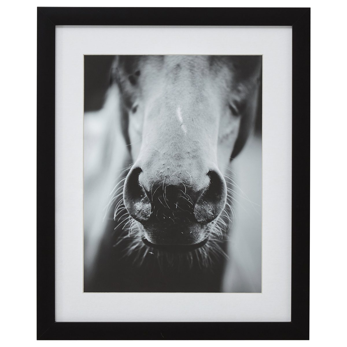 Amazon Brand – Stone & Beam Modern Black and White Horse Nose Photo Framed Wall Art Decor - 18" x 22" Frame, Black