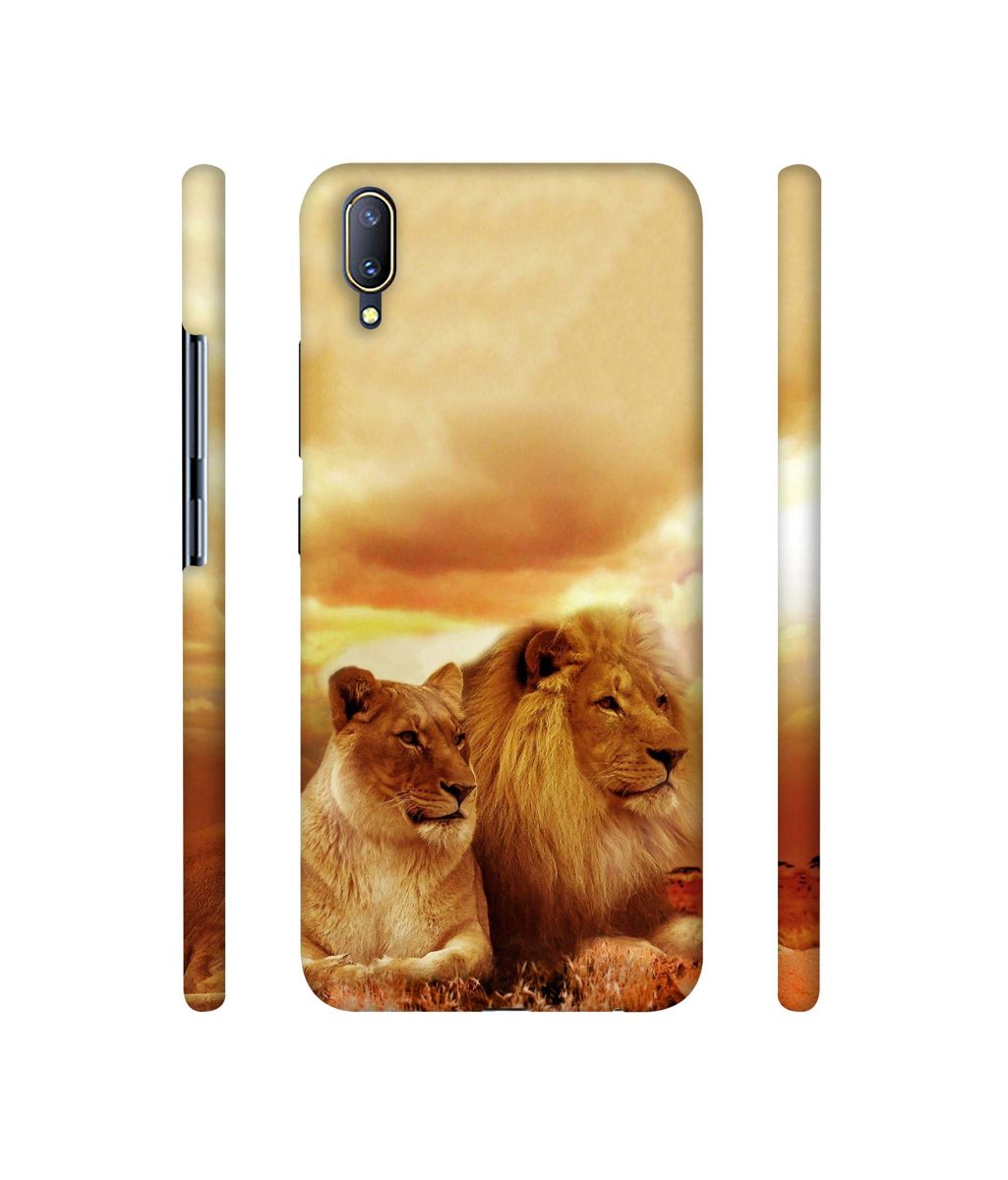 Amazon Brand - Solimo Designer Lion with Lioness 3D Printed Hard Back Case Mobile Cover for Vivo V11 Pro