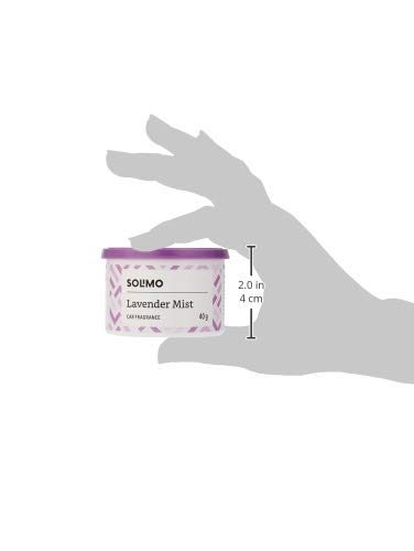 Amazon Brand - Solimo Car Air Freshener - Lavender Mist, 40 g
