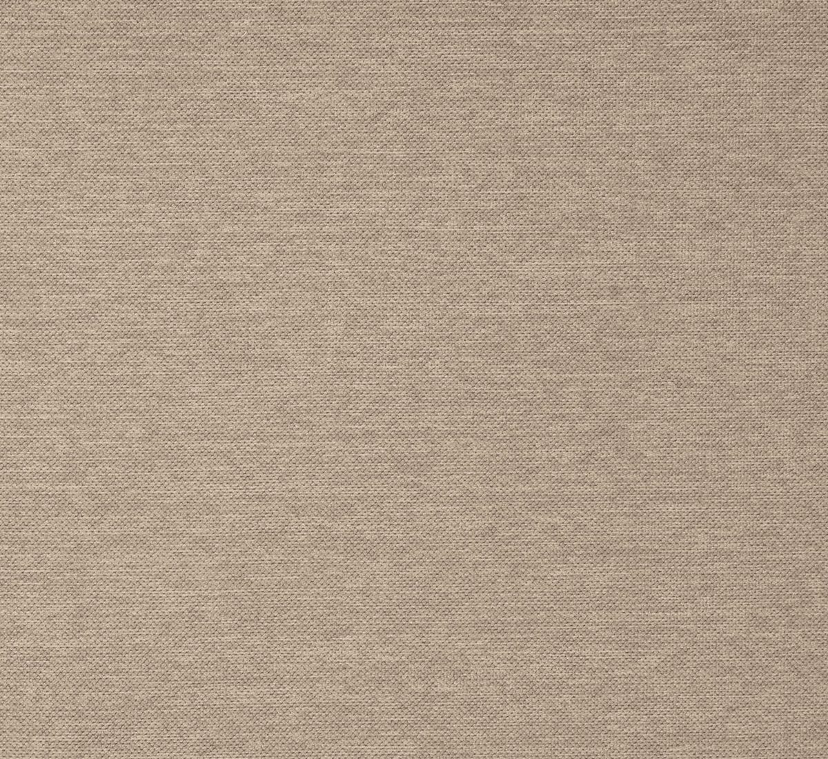 Amazon Brand – Stone & Beam Genesse Loveseat Sofa Couch, 64"W, Fawn