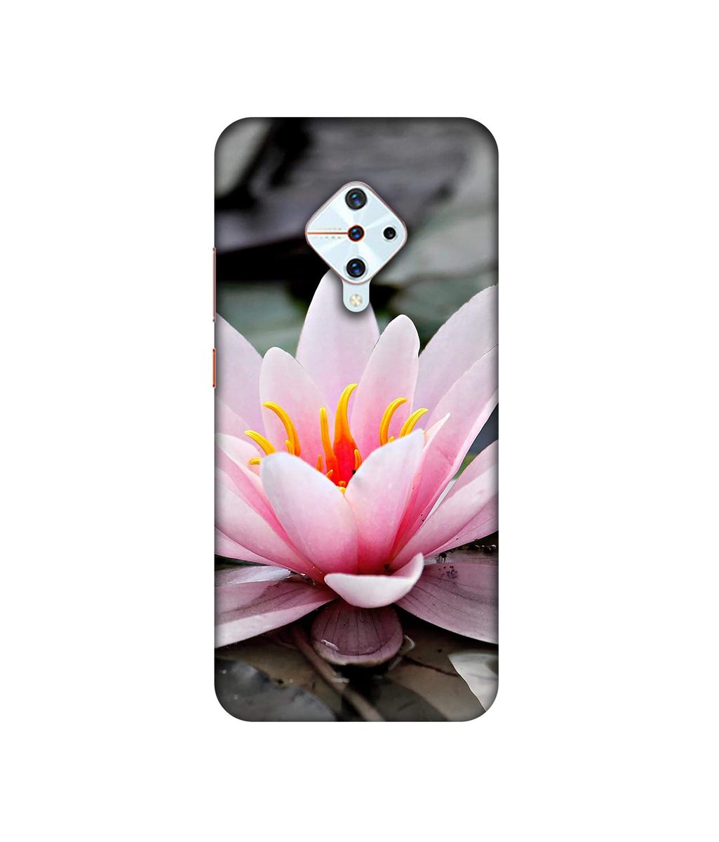 Amazon Brand - Solimo Designer Lotus 3D Printed Hard Back Case Mobile Cover for Vivo S1 Pro