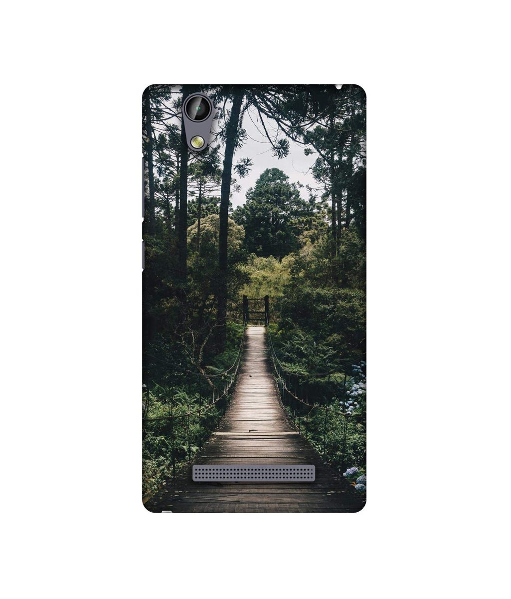 Amazon Brand - Solimo Designer Wooden Bridge 3D Printed Hard Back Case Mobile Cover for Gionee F103