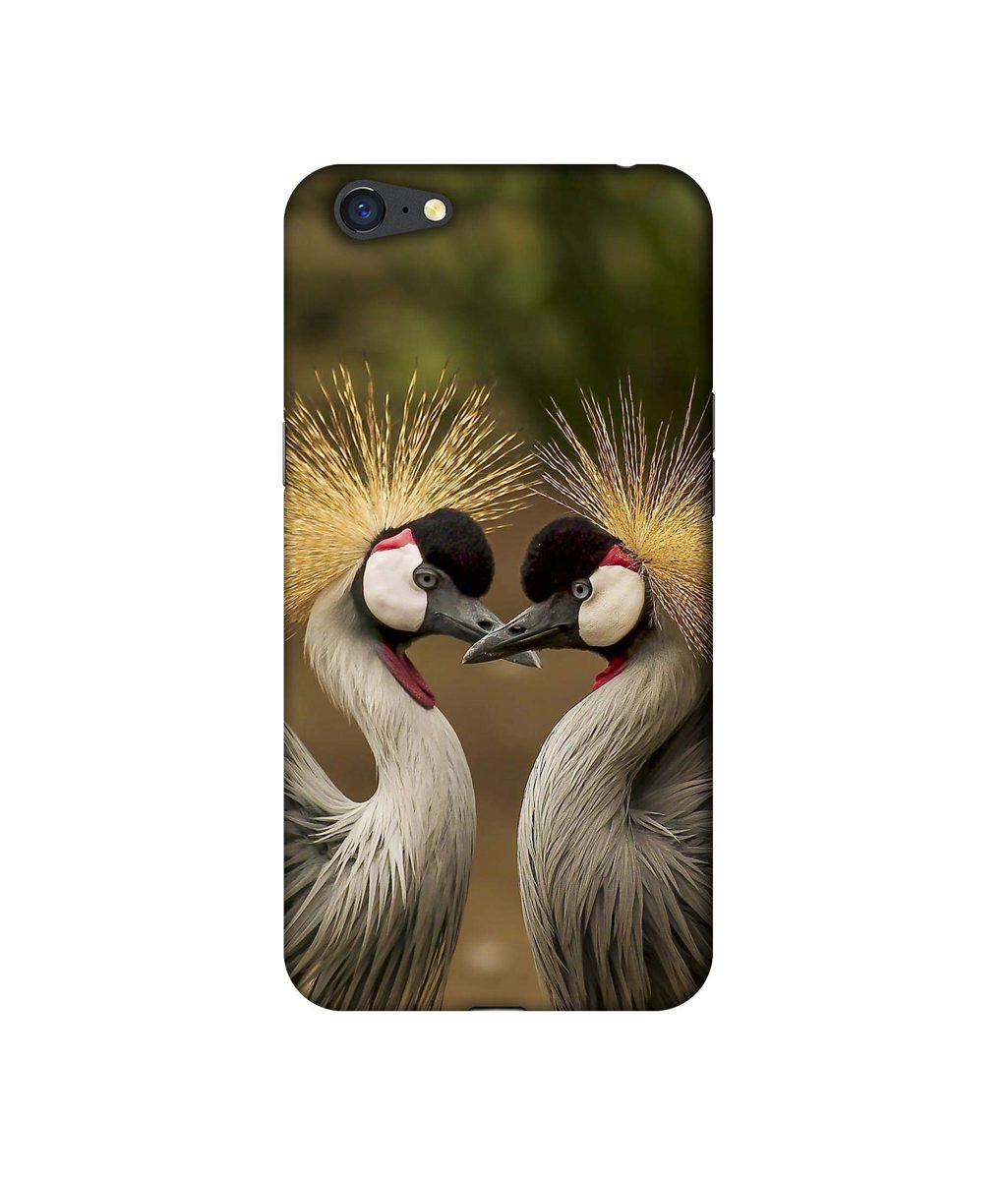 Amazon Brand - Solimo Designer Birds 3D Printed Hard Back Case Mobile Cover for Oppo A71
