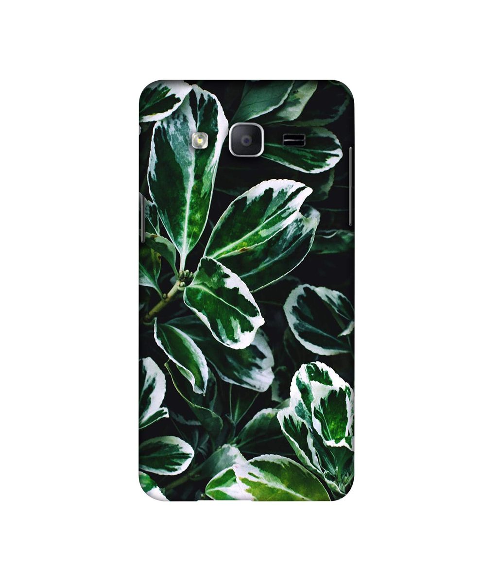 Amazon Brand - Solimo Designer Leaf Imperation 3D Printed Hard Back Case Mobile Cover for Samsung Galaxy On5