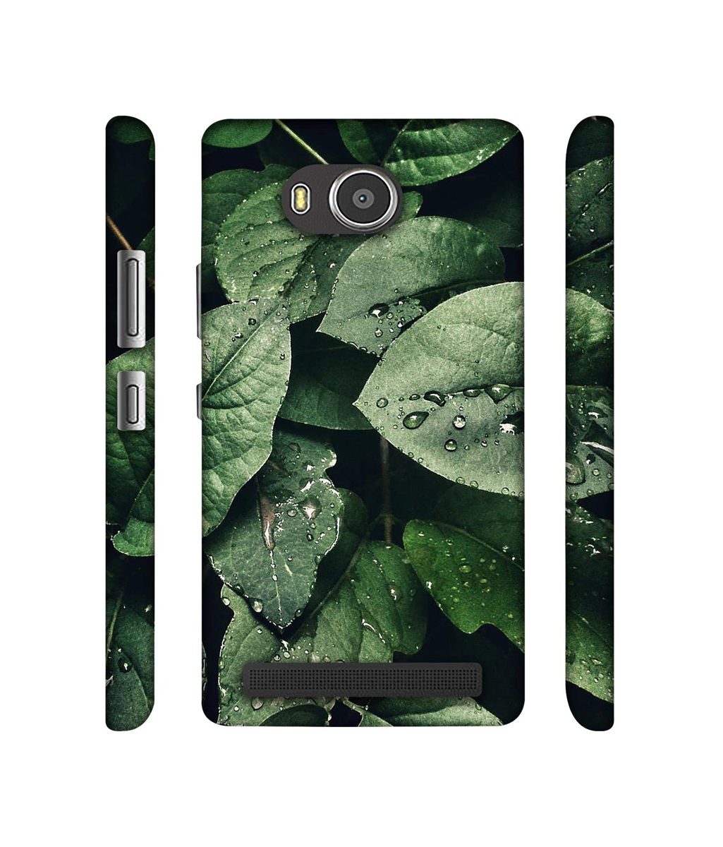 Amazon Brand - Solimo Designer Leafs 3D Printed Hard Back Case Mobile Cover for Lenovo A7700