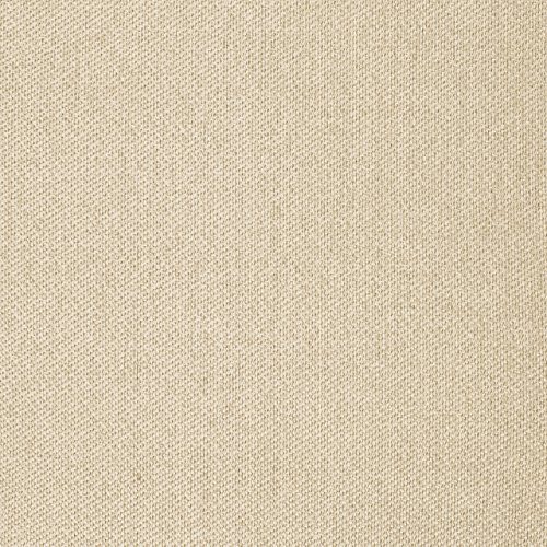 Stone & Beam Latte Swatch, Stone & Beam