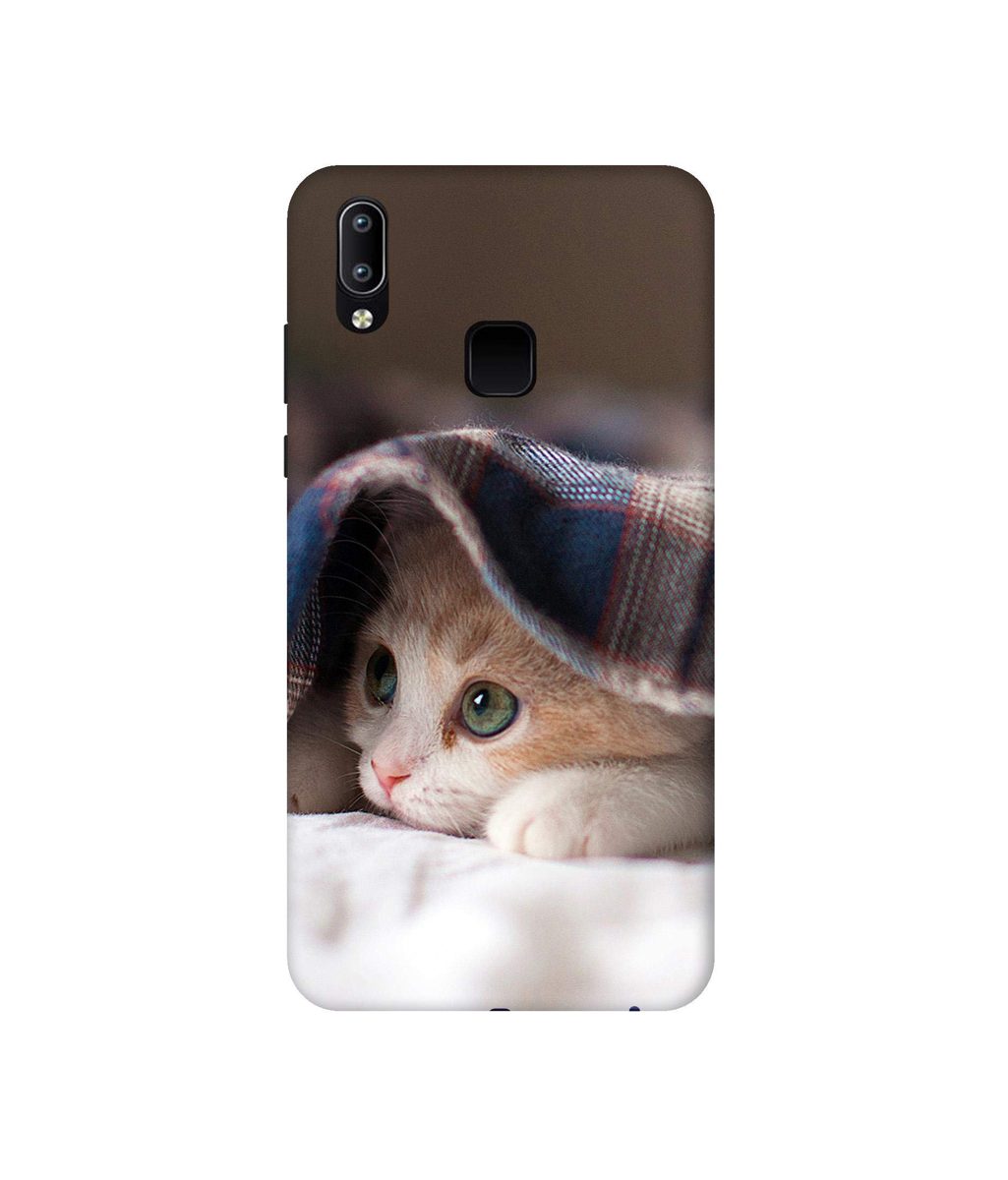 Amazon Brand - Solimo Designer Sleepy Kitten 3D Printed Hard Back Case Mobile Cover for Vivo Y95