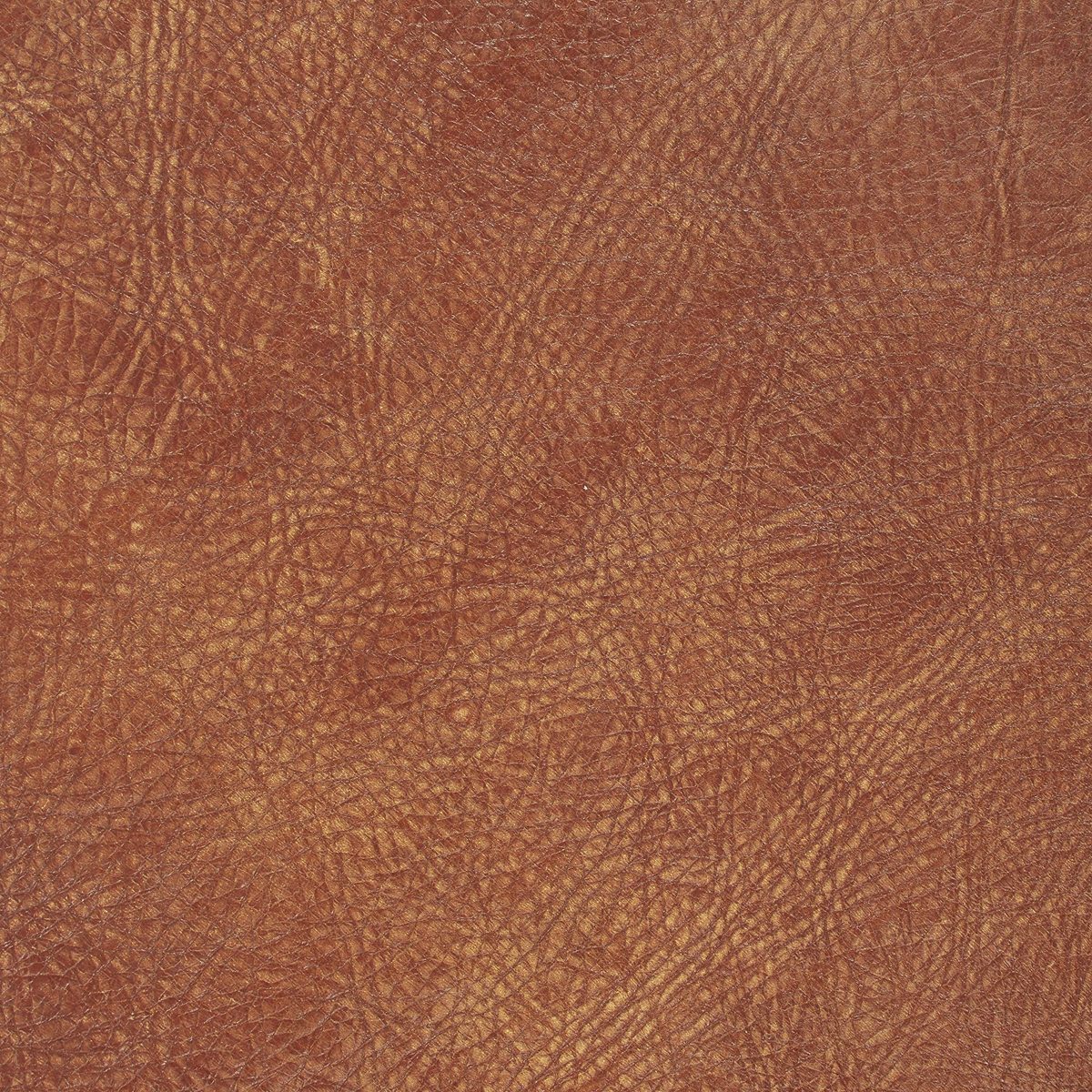 Saddle Swatch, Stone & Beam