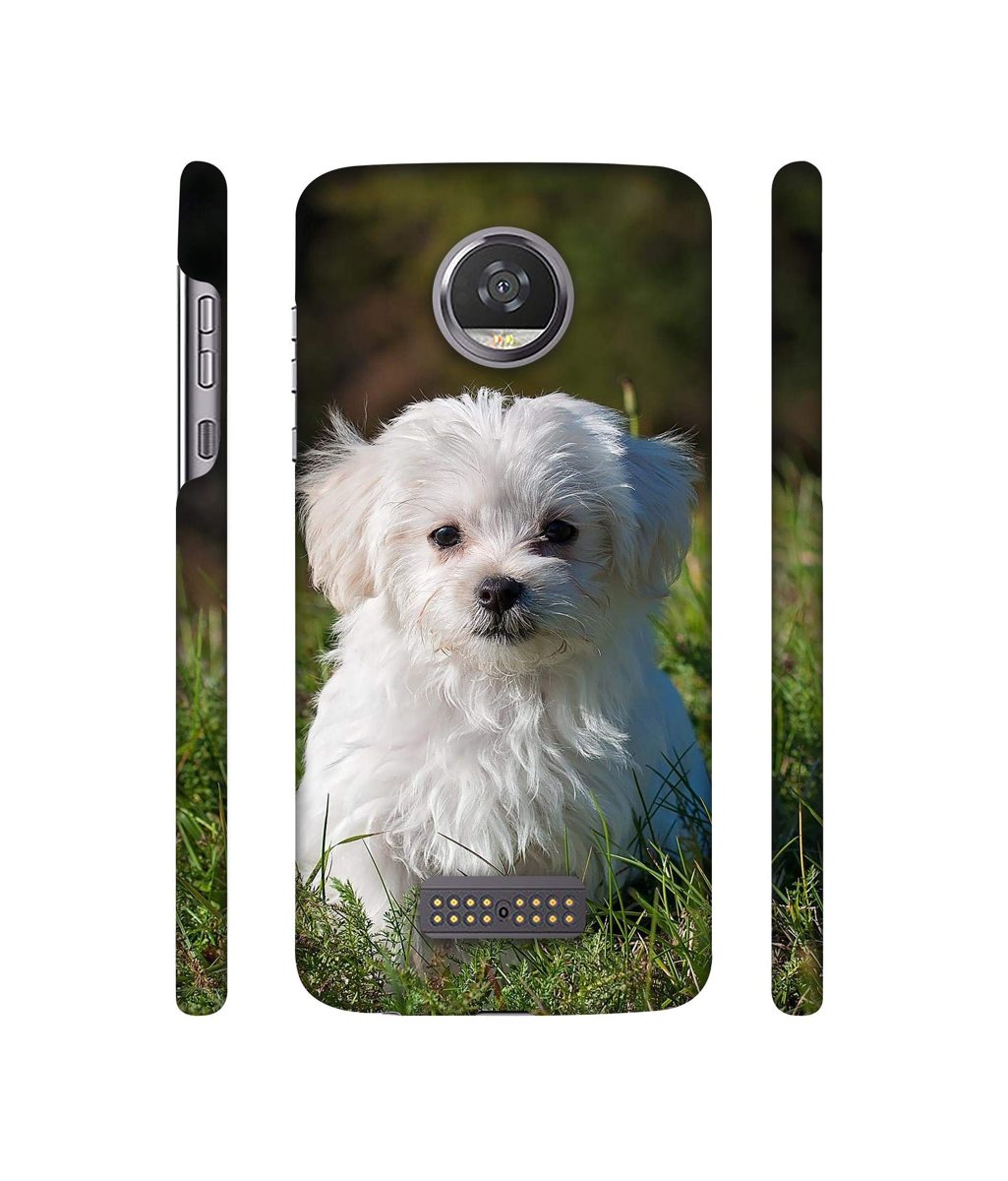 Amazon Brand - Solimo Designer White Dog 3D Printed Hard Back Case Mobile Cover for Moto Z2 Play