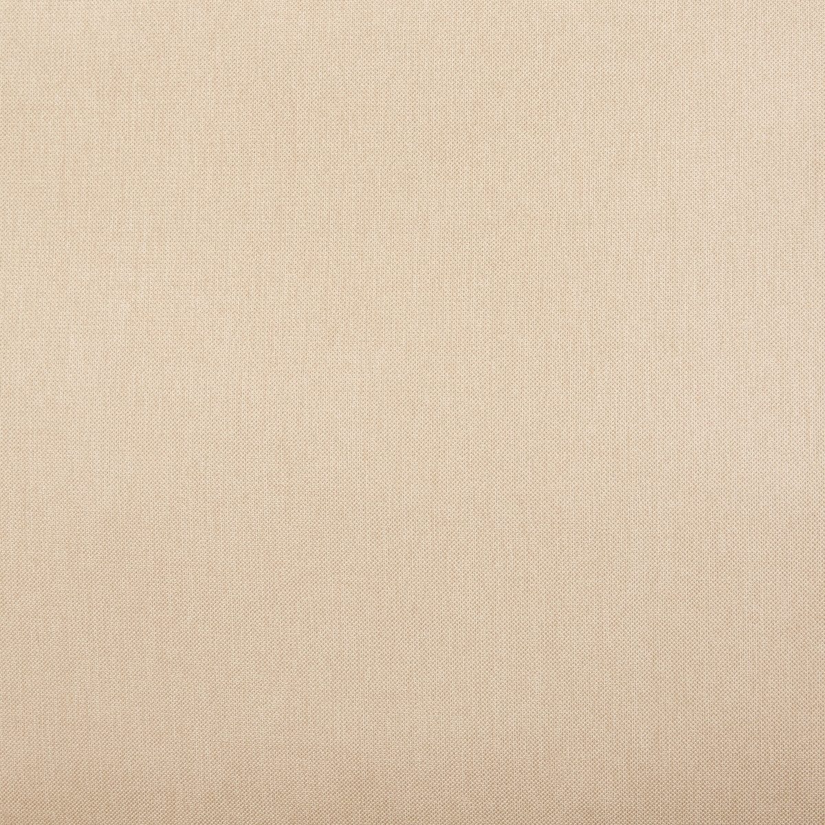Stone & Beam Fawn Swatch, Stone & Beam