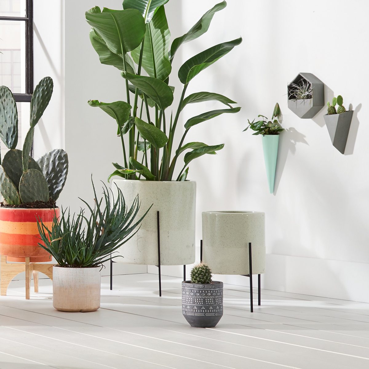 Amazon Brand – Rivet Cone-Shaped Wall Mount Vase, 10.4"H, Modern Earthenware, Aqua