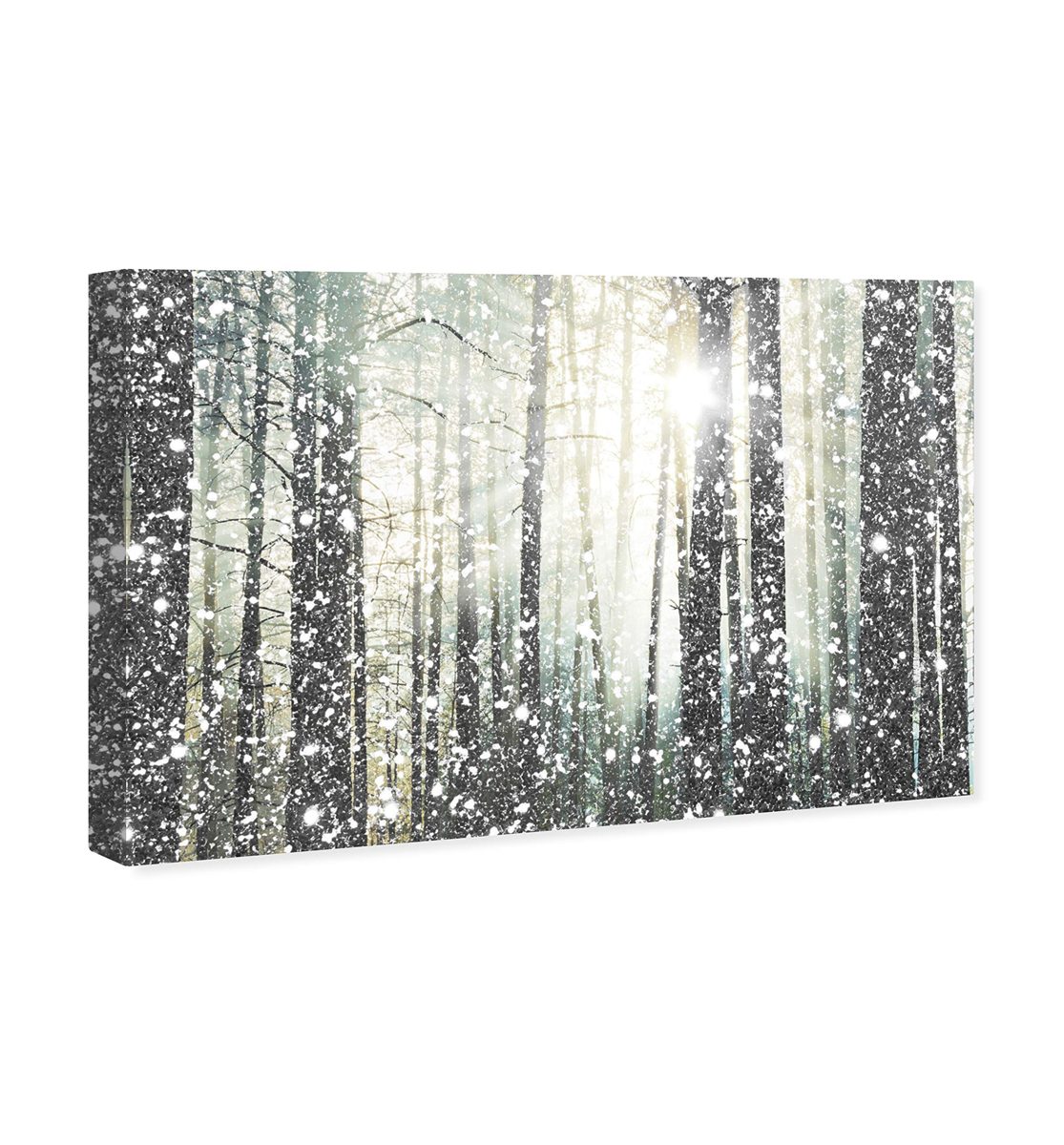 Amazon Brand – Stone & Beam Modern Silver and White Forest Print on Canvas Bathroom Wall Art Decor, 24" x 16"