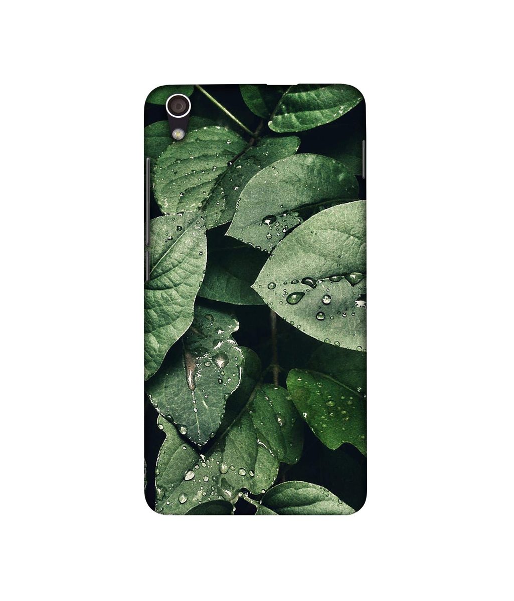 Amazon Brand - Solimo Designer Leafs 3D Printed Hard Back Case Mobile Cover for Lenovo S850