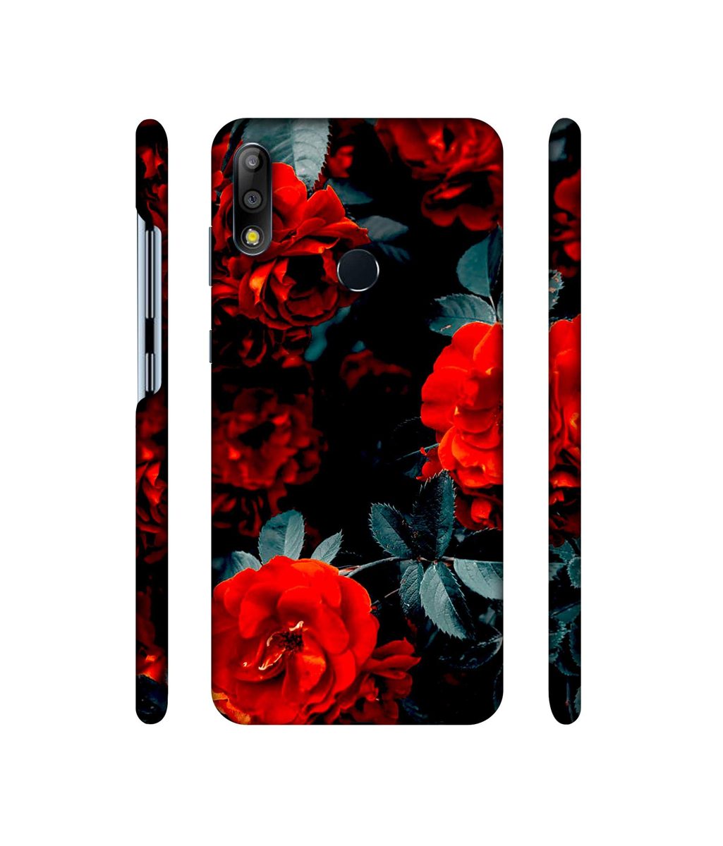 Amazon Brand - Solimo Designer Rose Photography 3D Printed Hard Back Case Mobile Cover for Asus ZenFone Max Pro M2
