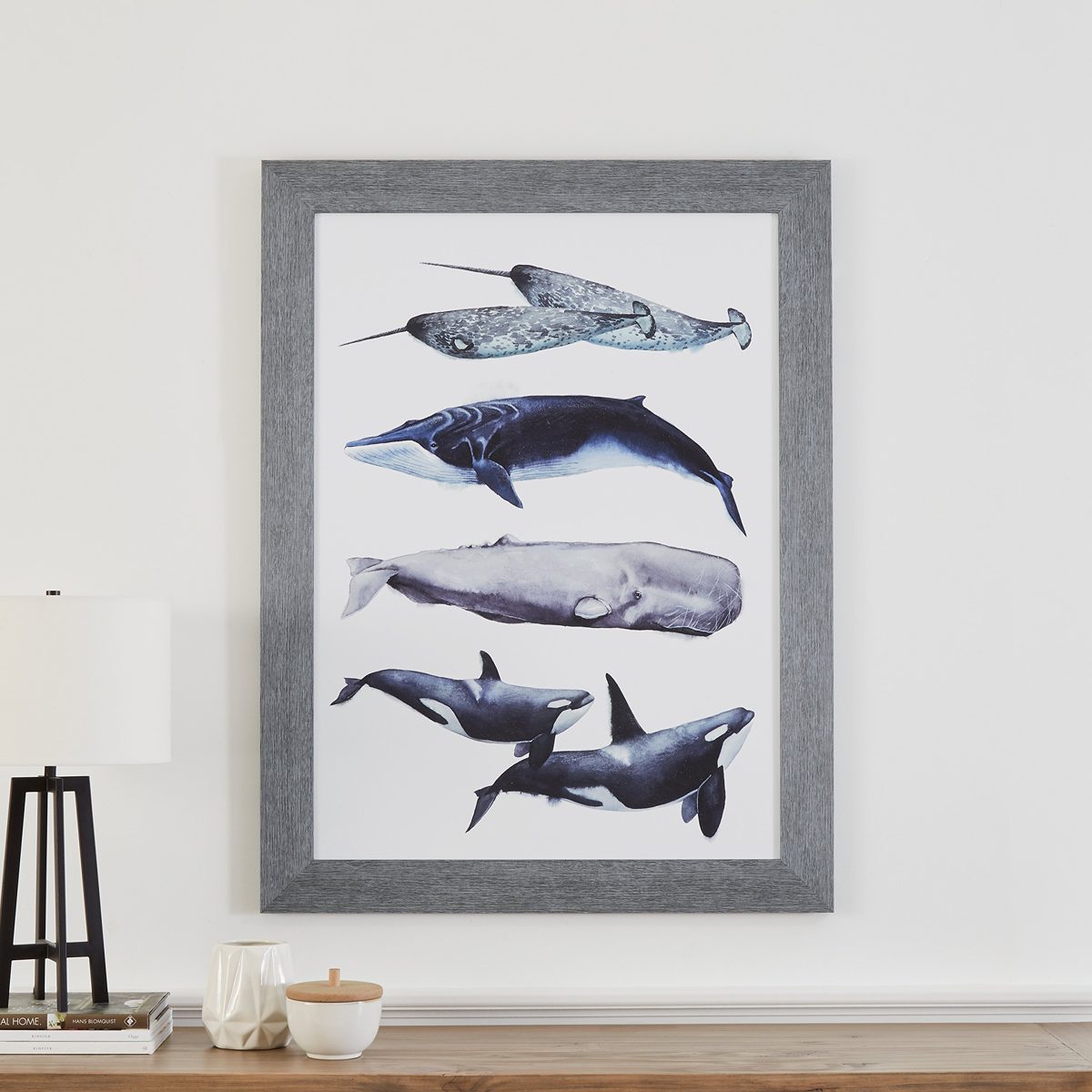 Amazon Brand – Stone & Beam Rustic Whale Species Print, Grey Frame, 32" x 44"