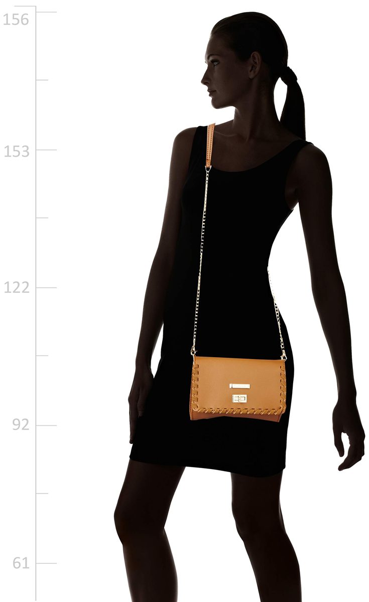 Flavia Women's Handbag (Brown)
