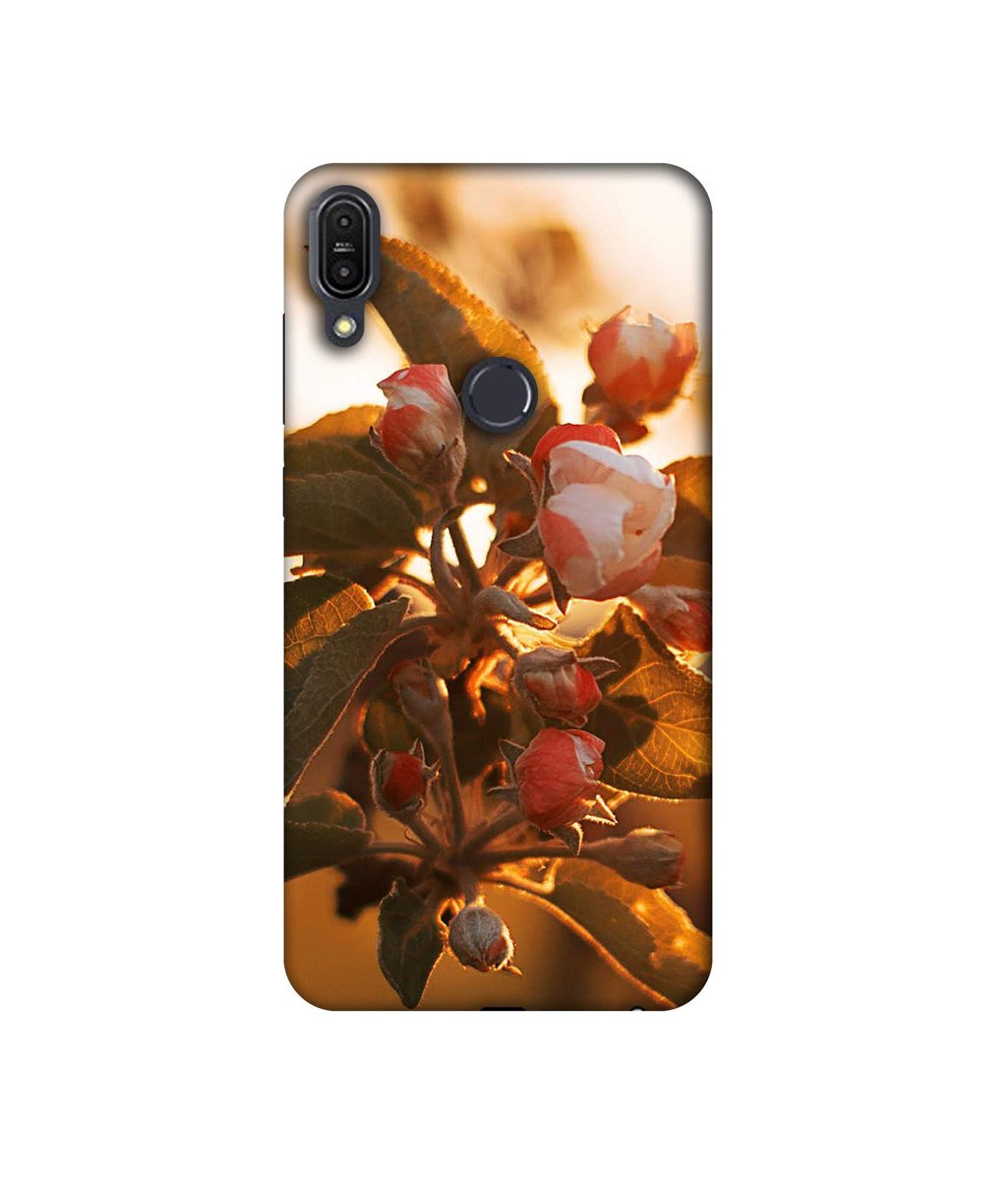 Amazon Brand - Solimo Designer Flowers 3D Printed Hard Back Case Mobile Cover for Asus Zenfone Max Pro M1 ZB601KL