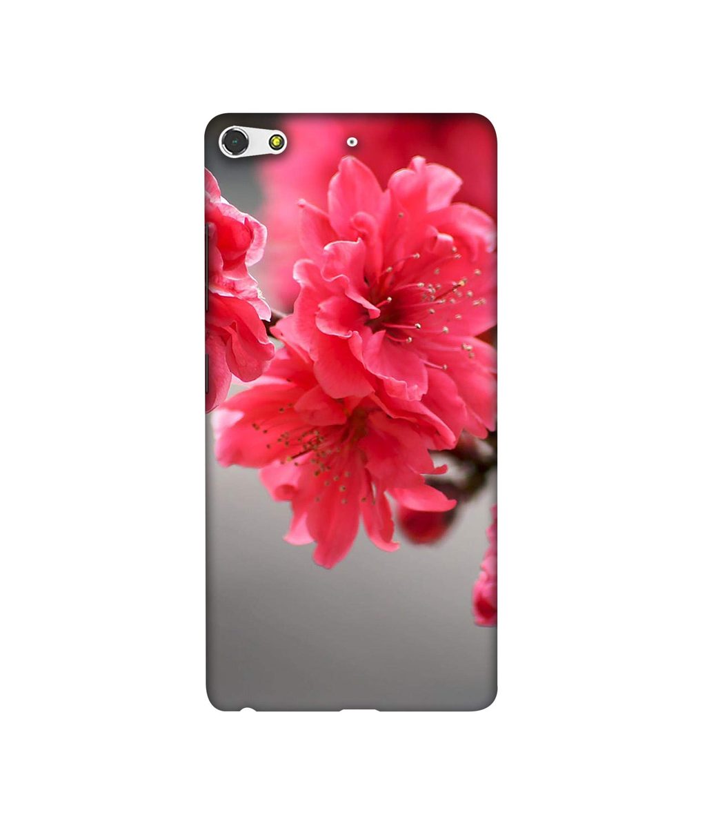 Amazon Brand - Solimo Designer Blossom Like Flower 3D Printed Hard Back Case Mobile Cover for Gionee Elife S7