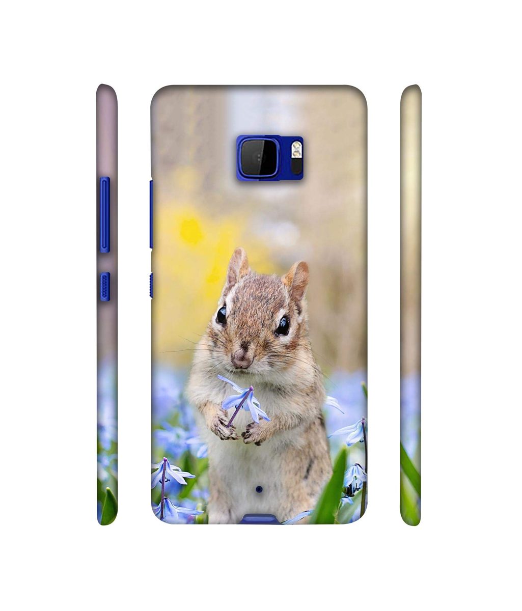 Amazon Brand - Solimo Designer Squirrel 3D Printed Hard Back Case Mobile Cover for HTC U Ultra