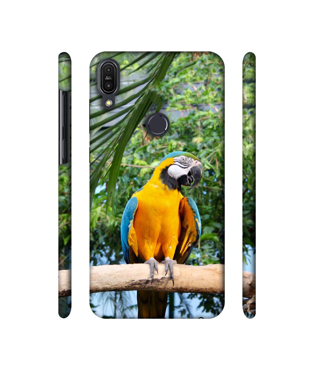 Amazon Brand - Solimo Designer Macaw Bird 3D Printed Hard Back Case Mobile Cover for Asus Zenfone Max Pro M1 ZB601KL