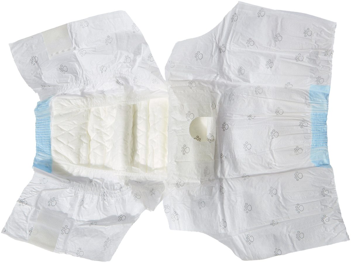 AmazonBasics Dog Diaper