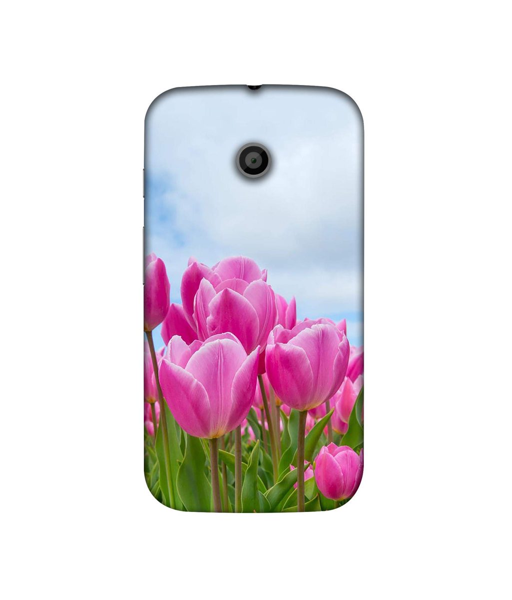 Amazon Brand - Solimo Designer Pink Lily 3D Printed Hard Back Case Mobile Cover for Motorola Moto E 1st Generation