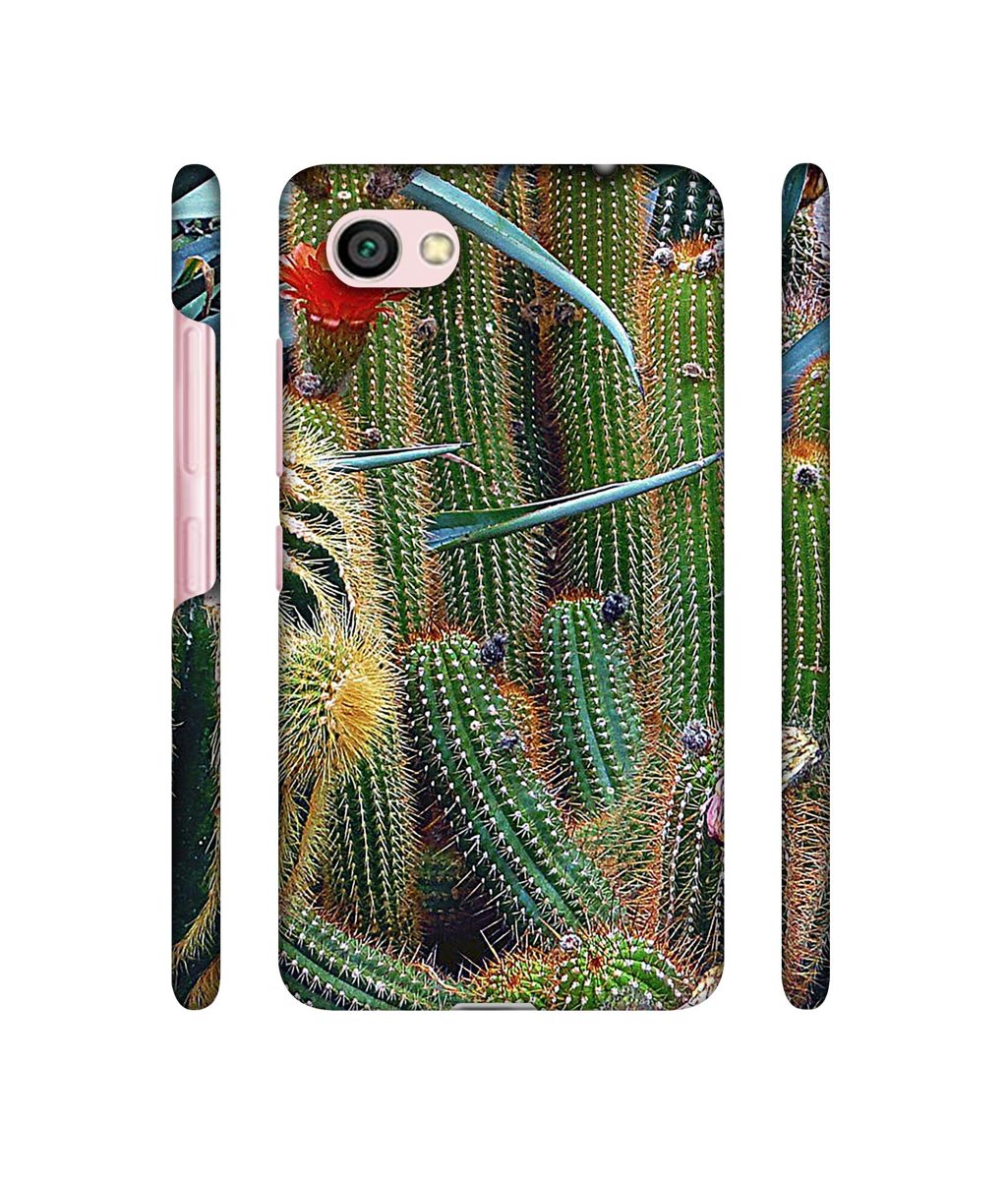 Amazon Brand - Solimo Designer Cactus 3D Printed Hard Back Case Mobile Cover for Xiaomi Redmi Y1 Lite