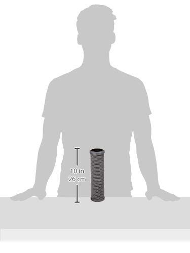 AmazonBasics AMZN-SCWH-5-2PK Standard Duty Water 15,000 Gallons, Equivalent to Culligan SCWH-5, 2-Pack Whole House Replacement Filter, White