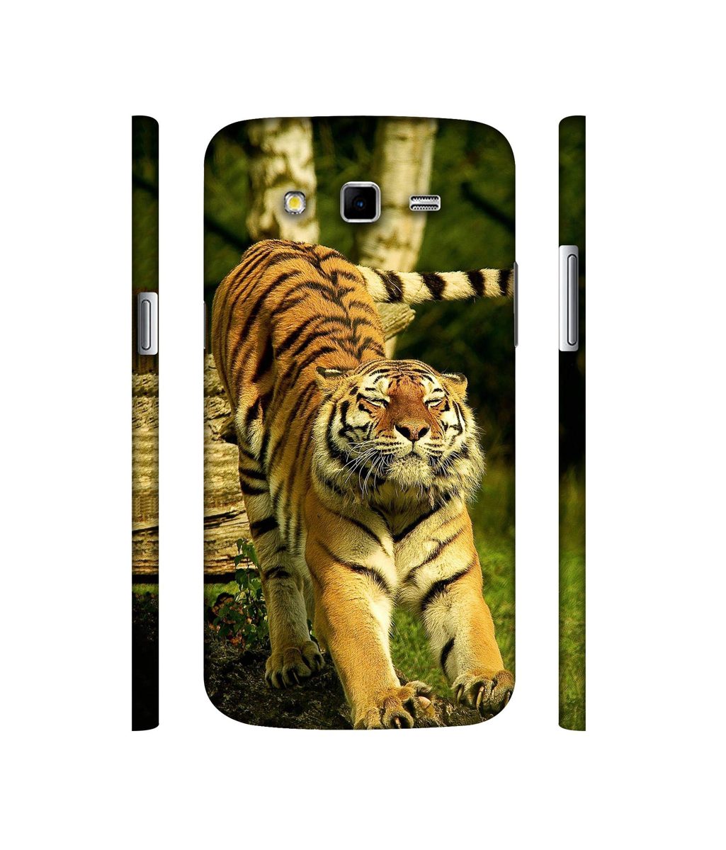 Amazon Brand - Solimo Designer Tiger 3D Printed Hard Back Case Mobile Cover for Samsung Galaxy Grand 2 G7102 / G7105