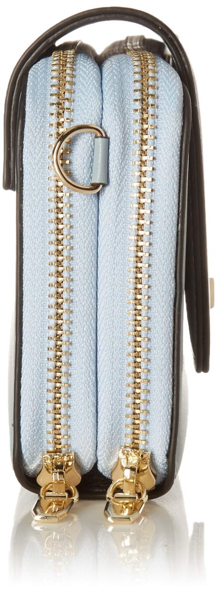 Flavia Women's Clutch (Blue)