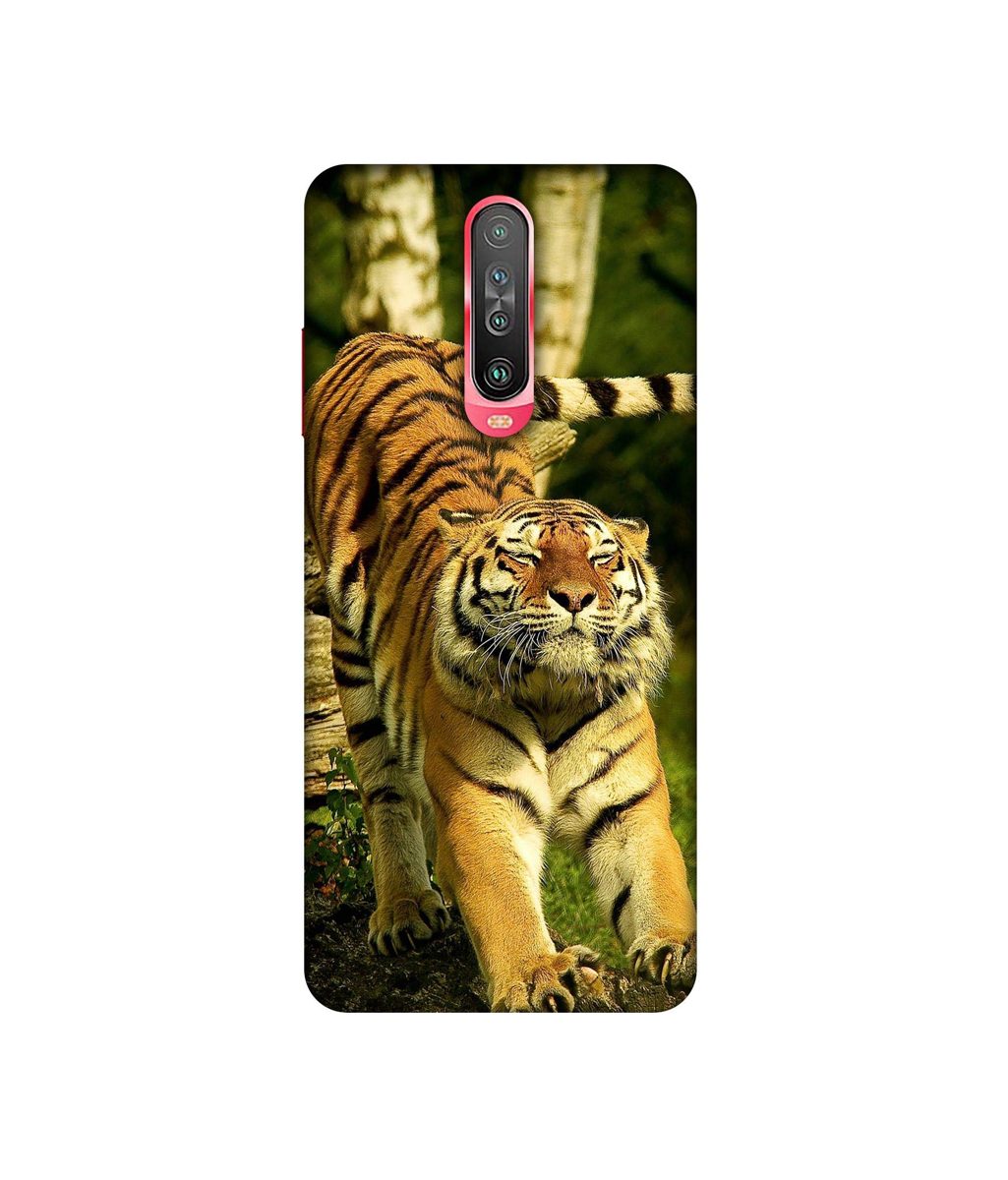 Amazon Brand - Solimo Designer Tiger 3D Printed Hard Back Case Mobile Cover for Poco X2 / Mi Redmi K30