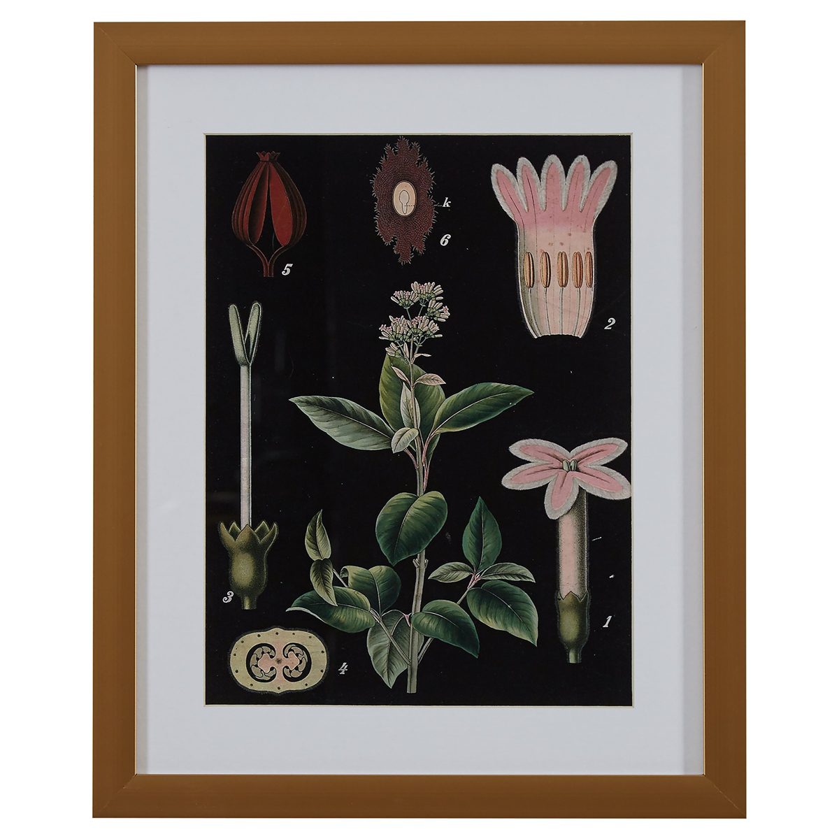 Urban Living PTM Images 1-29673 Collection Framed and matted giclee Print on Paper Under Glass Wall Art