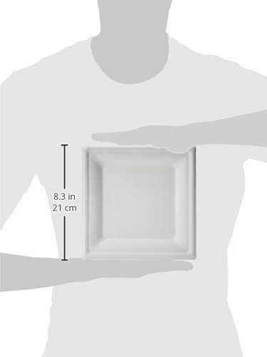 AmazonBasics Compostable Plate, 8-Inches, 500 Plates