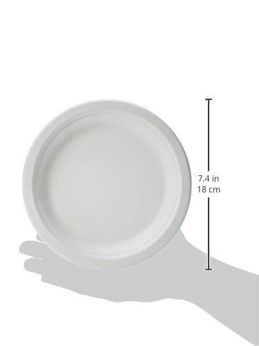 AmazonBasics Compostable Plates, 7-Inches, Pack of 500