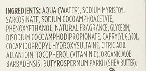 365 Everyday Value, Foaming Hand Soap, Citrus Grapefruit, 12 fl oz