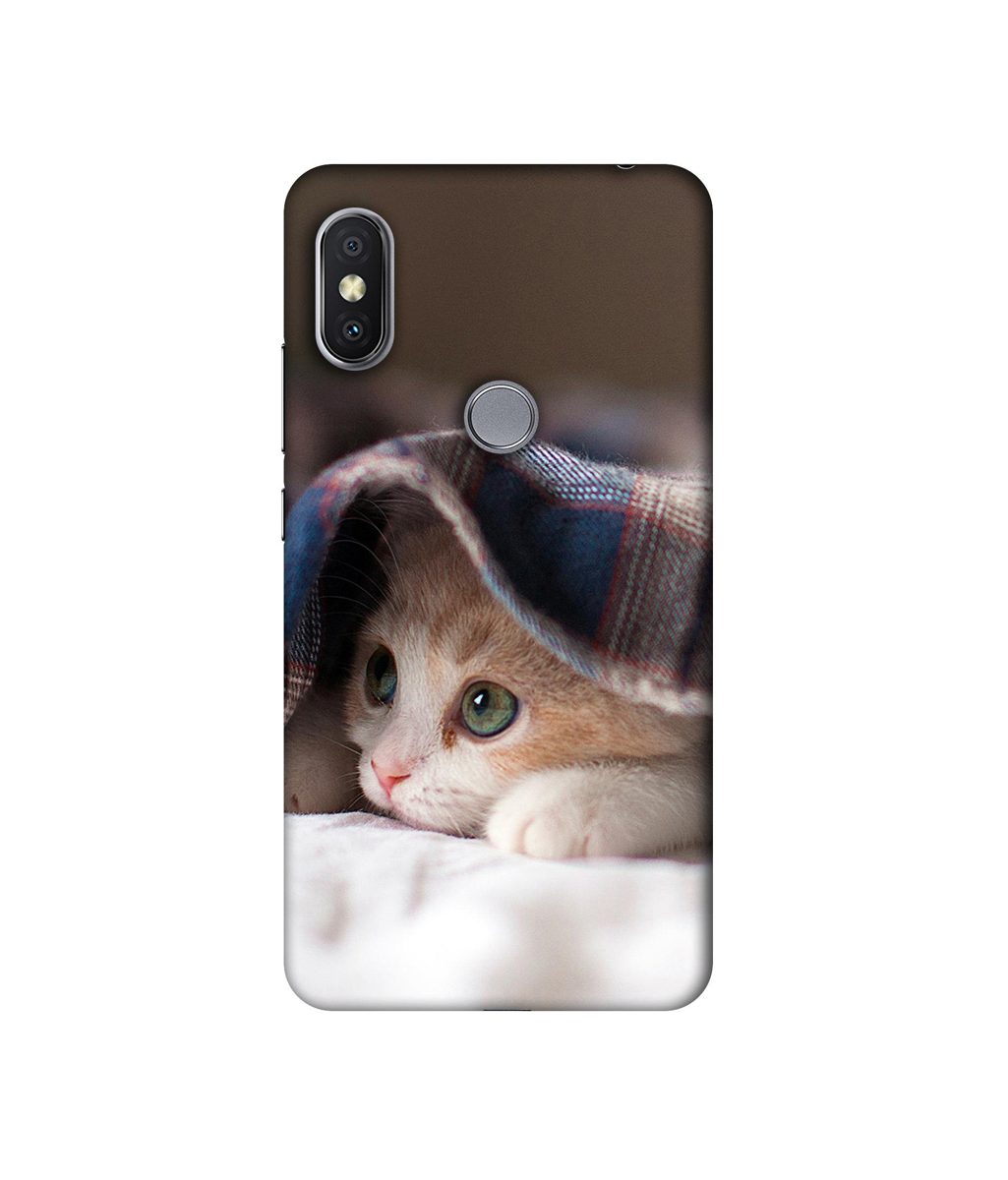 Amazon Brand - Solimo Designer Sleepy Kitten UV Printed Soft Back Case Mobile Cover for Mi Redmi Y2