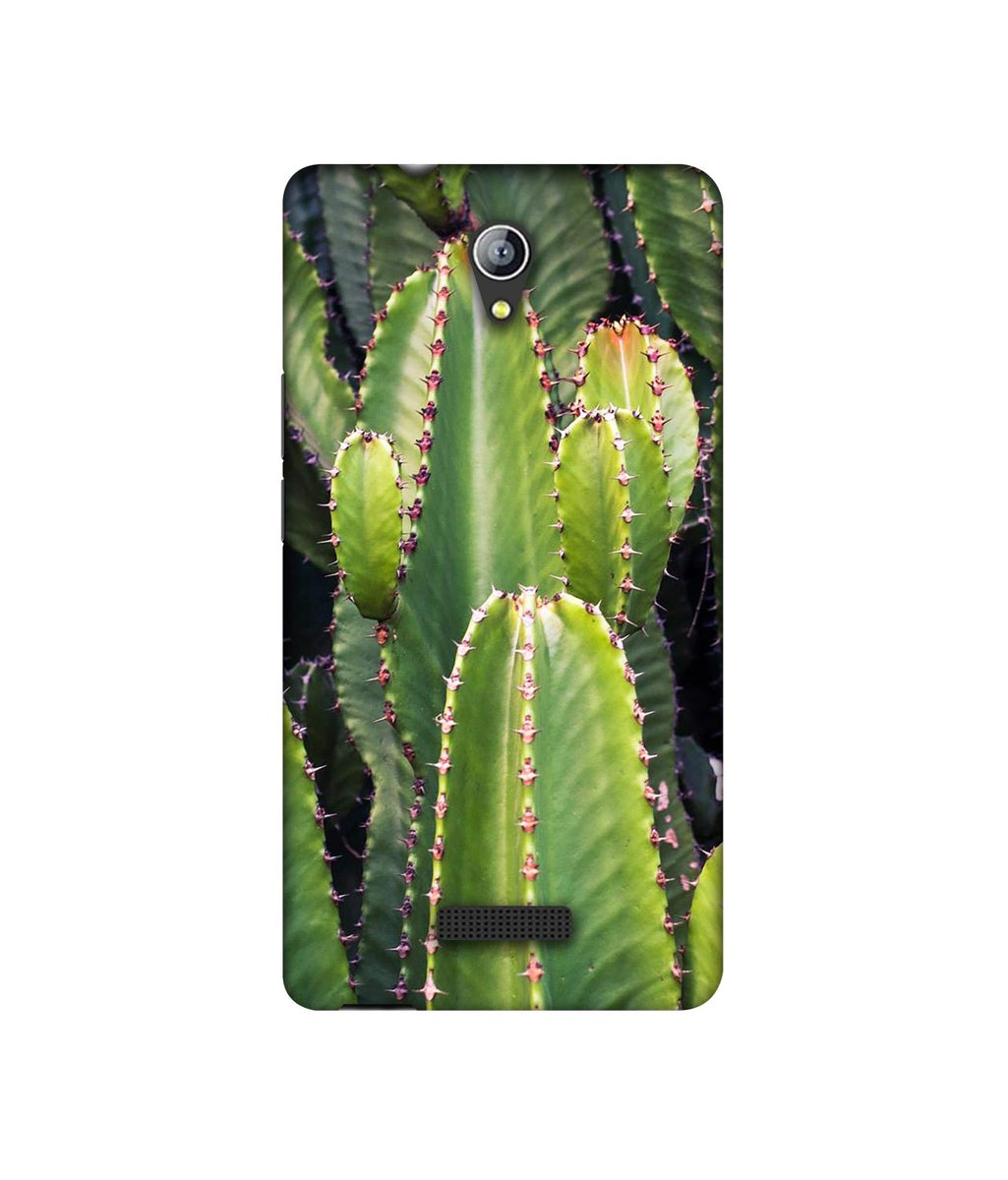 Amazon Brand - Solimo Designer Desert Plant 3D Printed Hard Back Case Mobile Cover for Micromax Canvas Pace 4G Q416