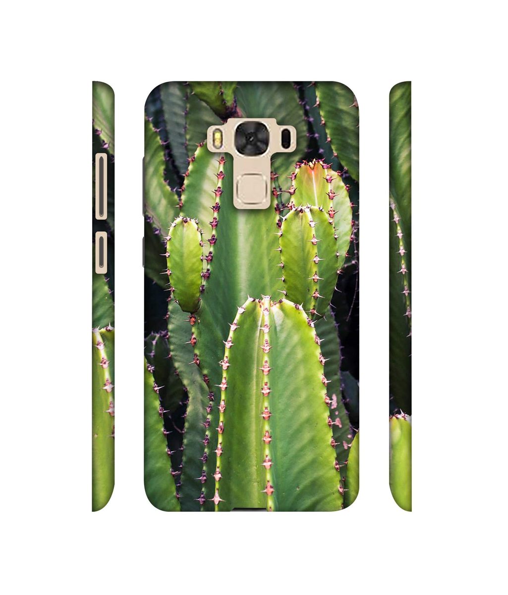 Amazon Brand - Solimo Designer Desert Plant 3D Printed Hard Back Case Mobile Cover for Asus Zenfone 3 Laser ZC551KL