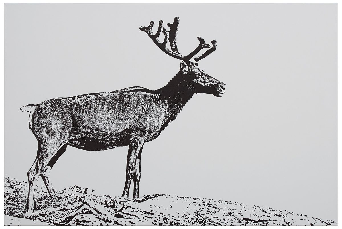 Amazon Brand – Rivet Black and White Canvas Wall Art Print of Male Deer, 24" x 16"