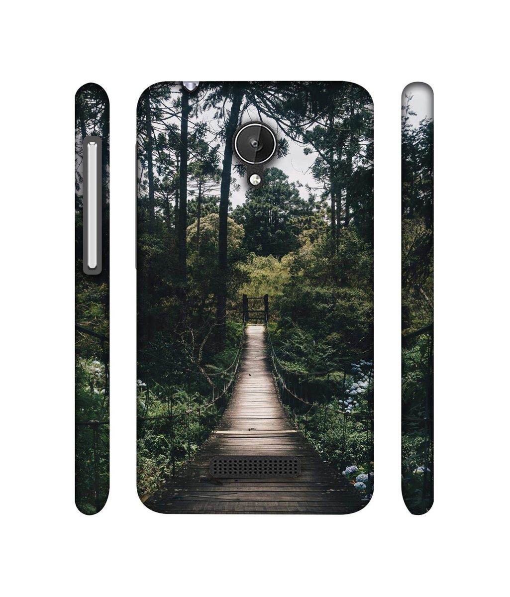 Amazon Brand - Solimo Designer Wooden Bridge 3D Printed Hard Back Case Mobile Cover for Micromax Canvas Spark Q380