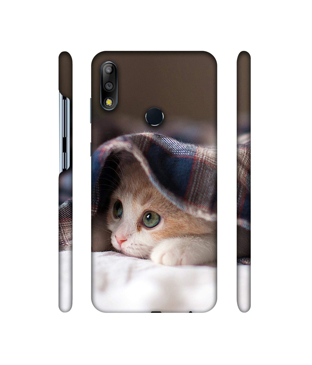 Amazon Brand - Solimo Designer Sleepy Kitten 3D Printed Hard Back Case Mobile Cover for Asus ZenFone Max Pro M2